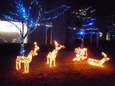 j2015.12.19 4.jpg